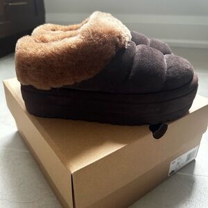 New in box! UGG Tazzlita Slipper in Size 7 women’s. Brown